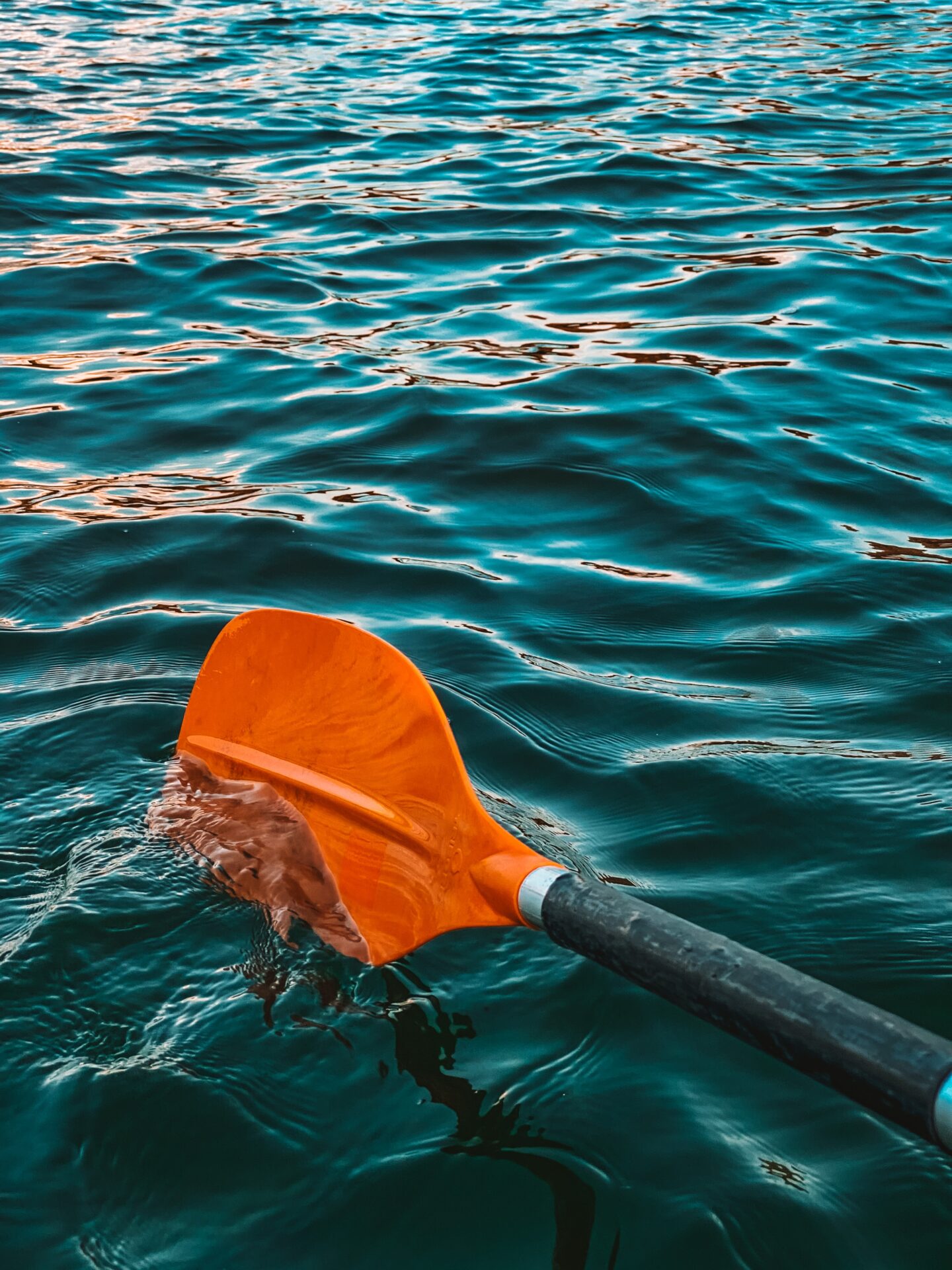 paddle boarding in the water