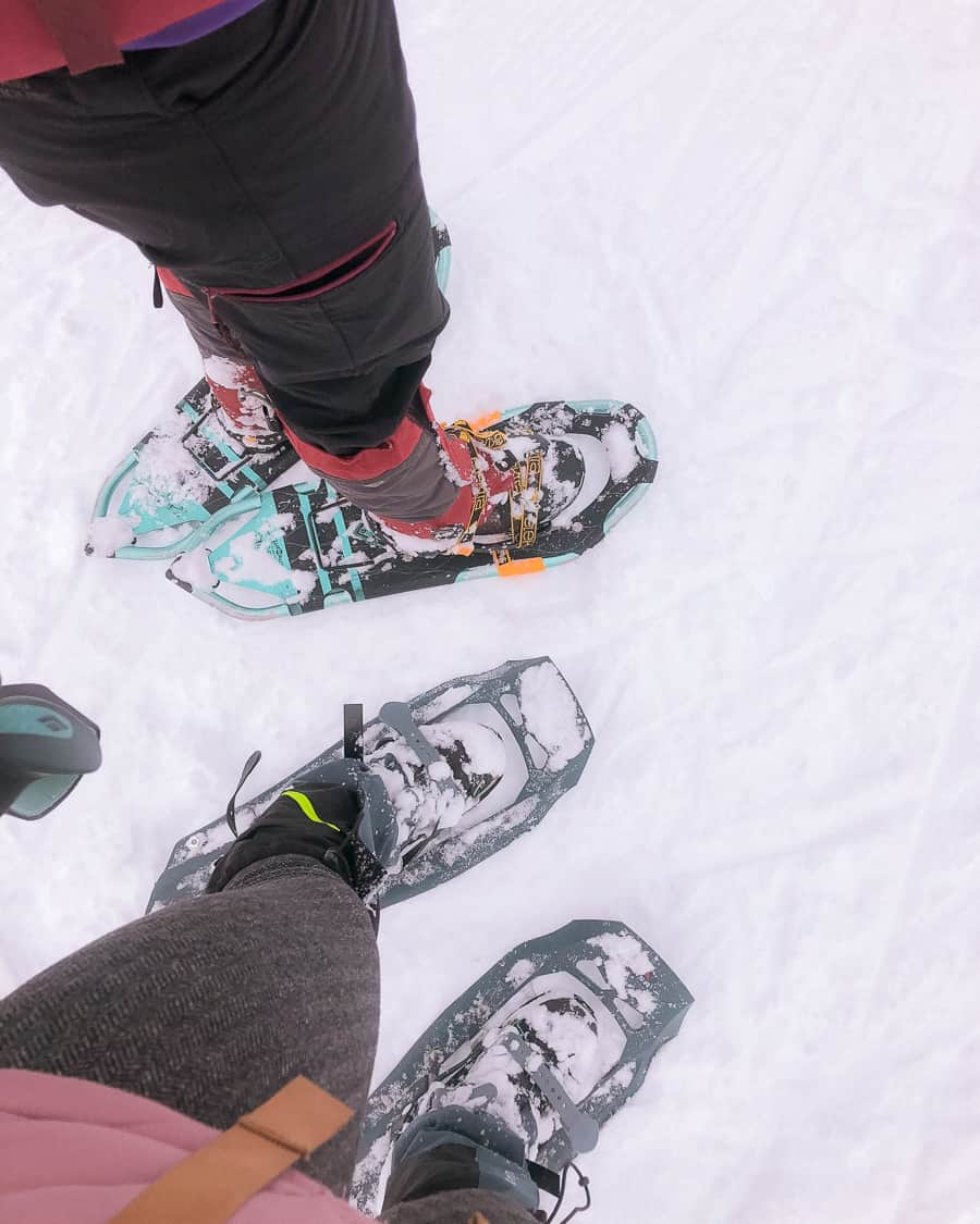 zoa peak snowshoe trail