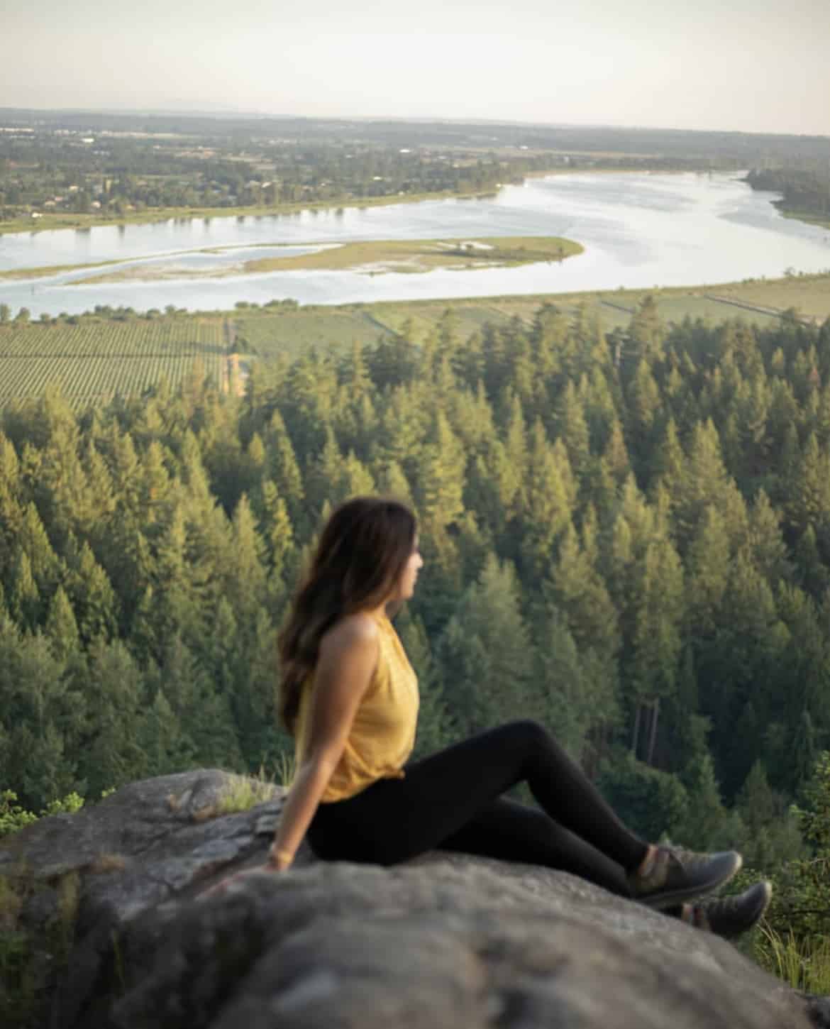 high knoll viewpoint 