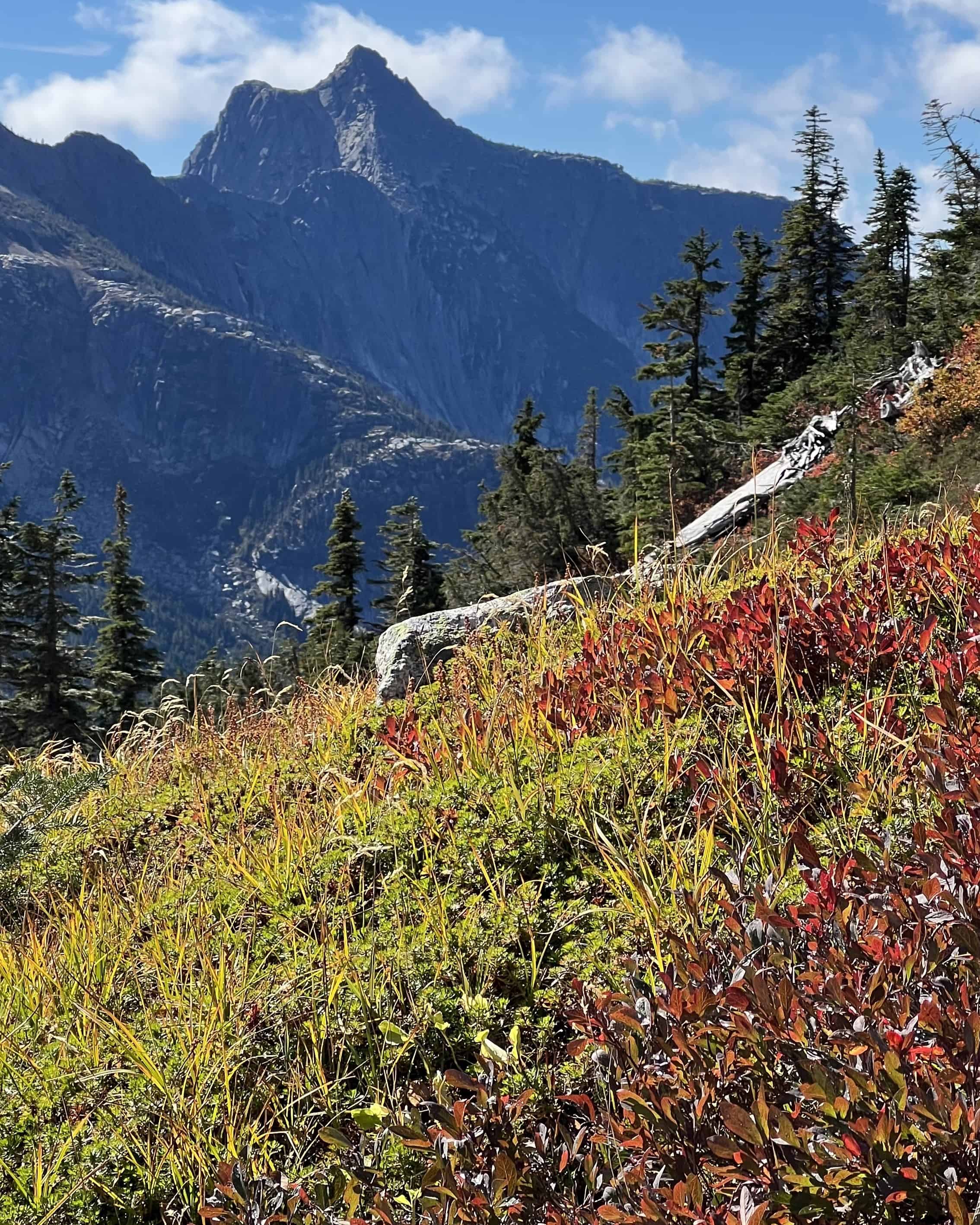 fall in Coquihalla 