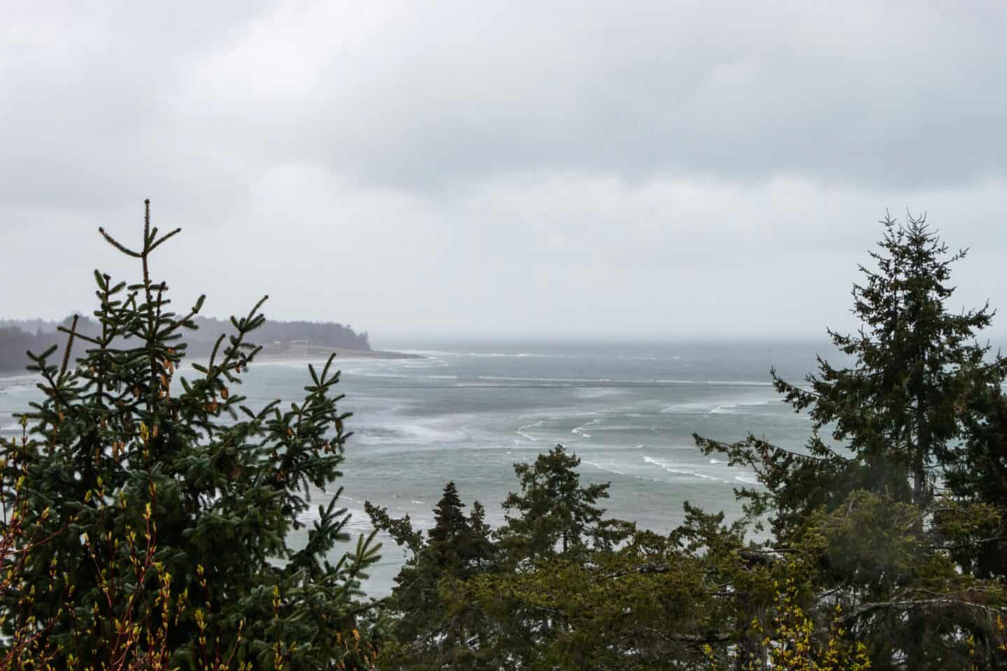 storm watching in Tofino