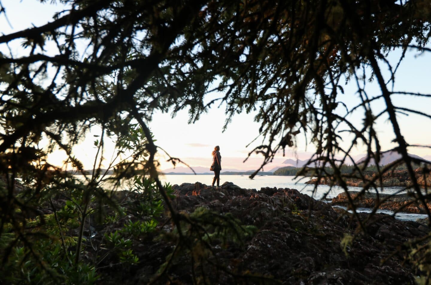 coast of tofino 