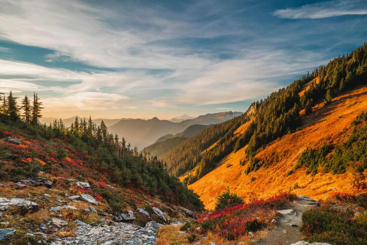 fall at yellow aster butte trail 